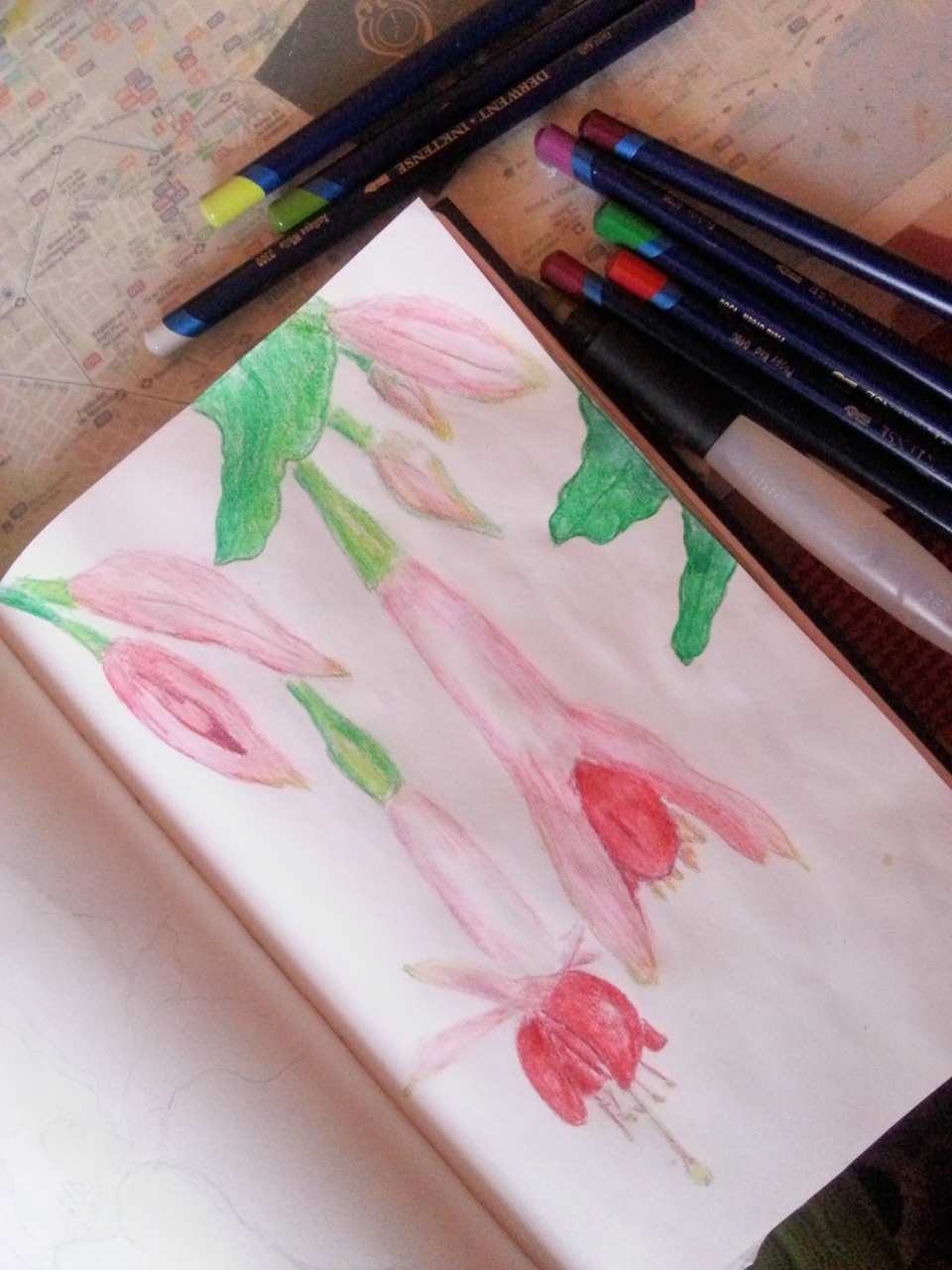 Drawing Fuchsia Flowers in my art journal - by Cristina Parus @ creativemag.ro >>> Mixed Media and Art Journaling