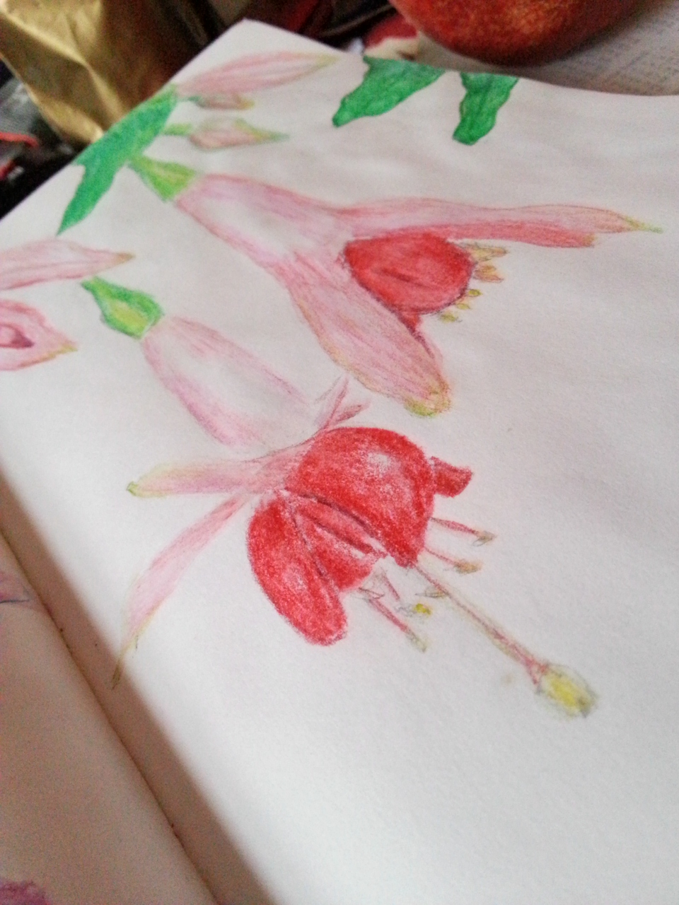 Drawing Fuchsia Flowers in my art journal - by Cristina Parus @ creativemag.ro >>> Mixed Media and Art Journaling